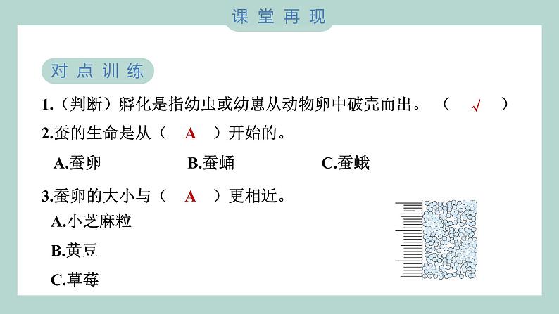 教科版科学三年级下册（2-1）迎接蚕宝宝的到来 习题6第5页