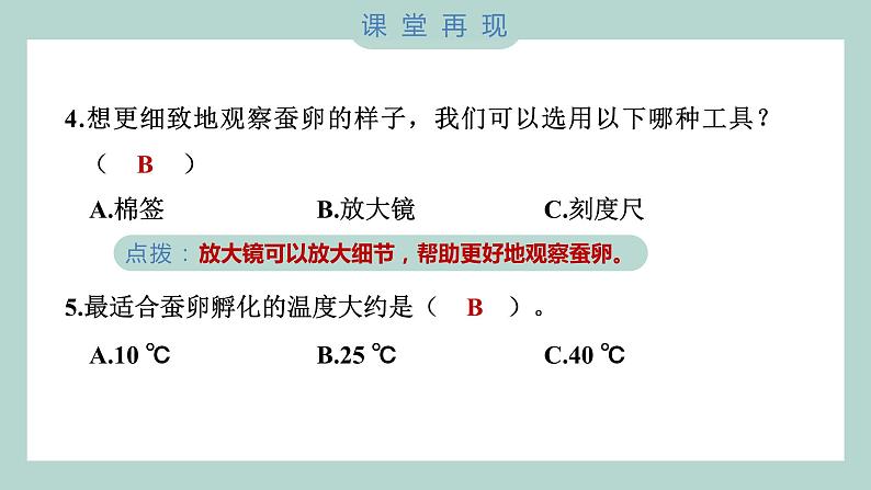 教科版科学三年级下册（2-1）迎接蚕宝宝的到来 习题6第6页