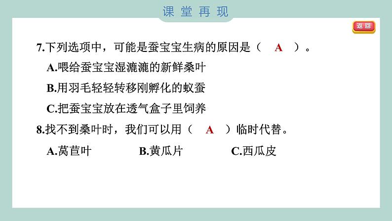 教科版科学三年级下册（2-1）迎接蚕宝宝的到来 习题6第8页