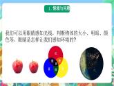 青岛版科学六年级下册1.1《视觉》课件+教案+练习（含答案）+素材