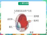 青岛版科学六年级下册1.1《视觉》课件+教案+练习（含答案）+素材