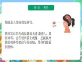 青岛版科学六年级下册 第一单元复习课件