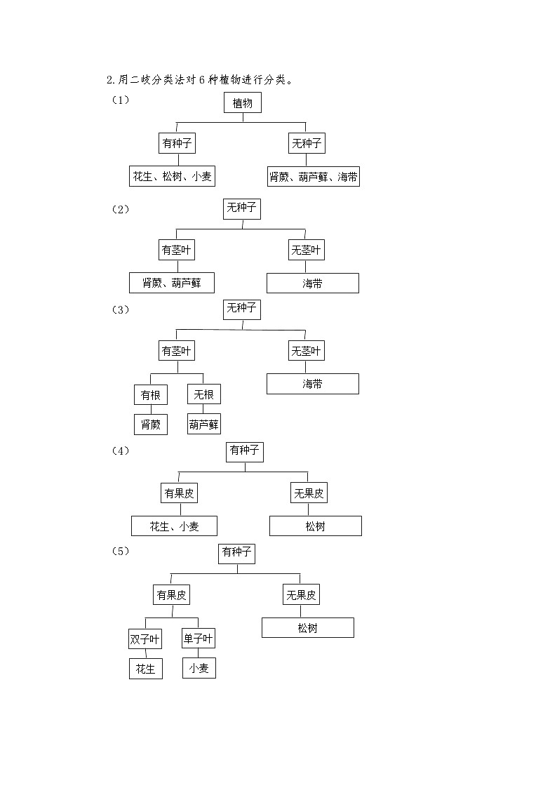 青岛版科学六年级下册2.6《给植物分类》课件+教案+练习（含答案）+素材02
