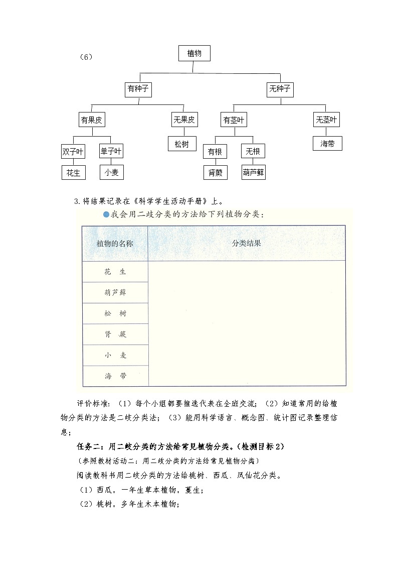 青岛版科学六年级下册2.6《给植物分类》课件+教案+练习（含答案）+素材03