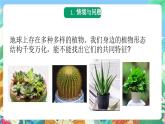 青岛版科学六年级下册2.6《给植物分类》课件+教案+练习（含答案）+素材