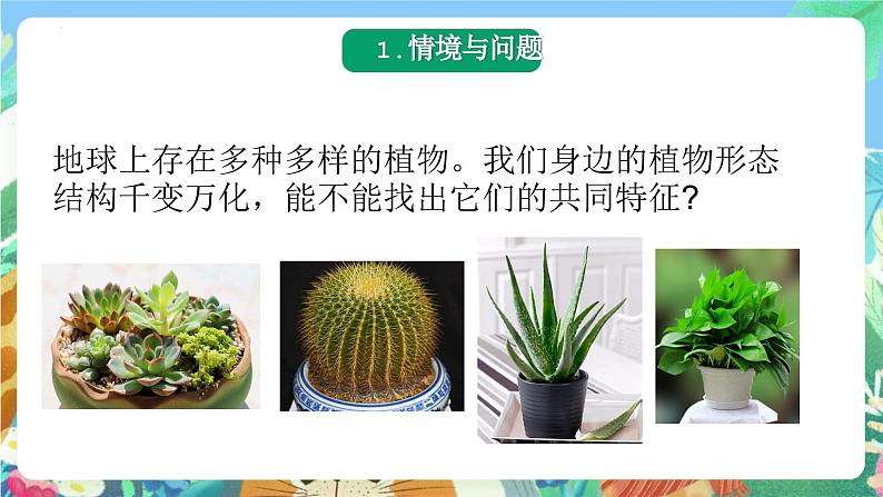 青岛版科学六年级下册2.6《给植物分类》课件+教案+练习（含答案）+素材03