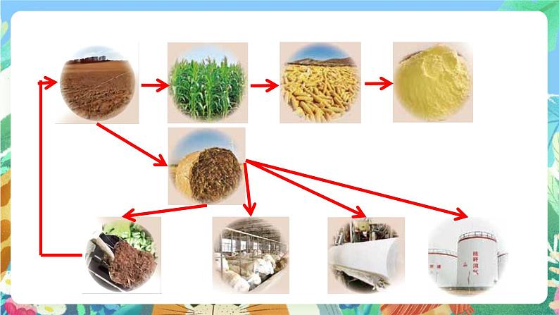 青岛版科学六年级下册3.12《自然资源的回收与再利用》课件+教案+练习（含答案）+素材08