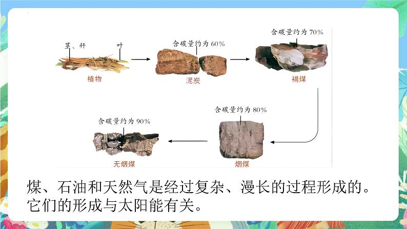 青岛版科学六年级下册 第三单元复习课件04