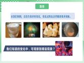 教科版科学六年级下册4.4《变化中伴随的现象》课件+探究记录单+微课