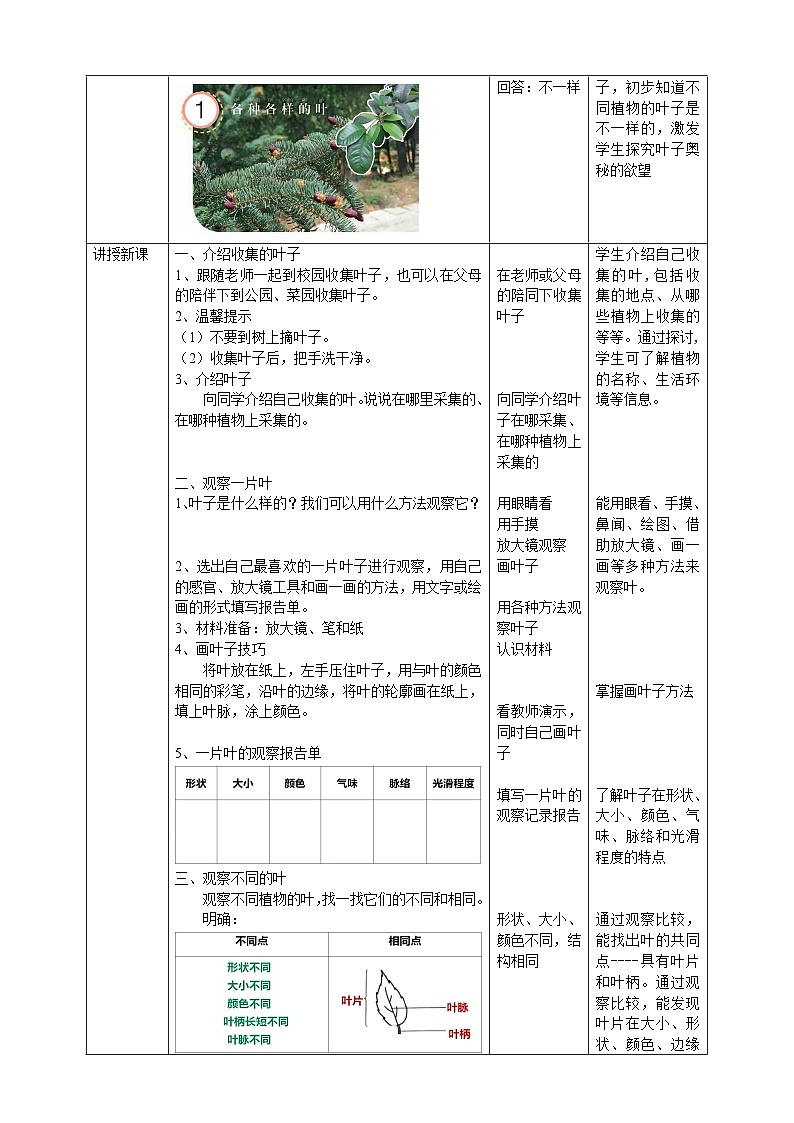 【核心素养】人教鄂教版科学一年级下册 1.1《各种各样的叶》课件+教案+分层练习02