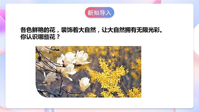 【核心素养】人教鄂教版科学一年级下册1.2《多彩的花》课件+教案+分层练习06