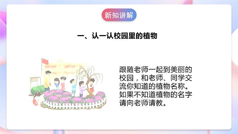 【核心素养】人教鄂教版科学一年级下册1.3《观察校园里的植物》课件+教案+分层练习08