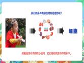 蘇教版科學(xué)五年級(jí)下冊(cè)1.1《搭建生命體的“積木”》2課時(shí) 課件+教案+素材