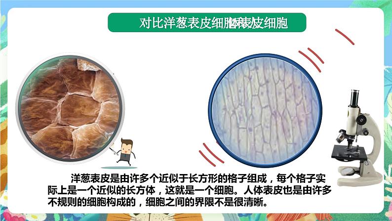 苏教版科学五年级下册1.1《搭建生命体的“积木”》2课时 课件+教案+素材06