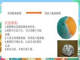 苏教版科学五年级下册1.3《发霉与防霉》 课件+教案+素材