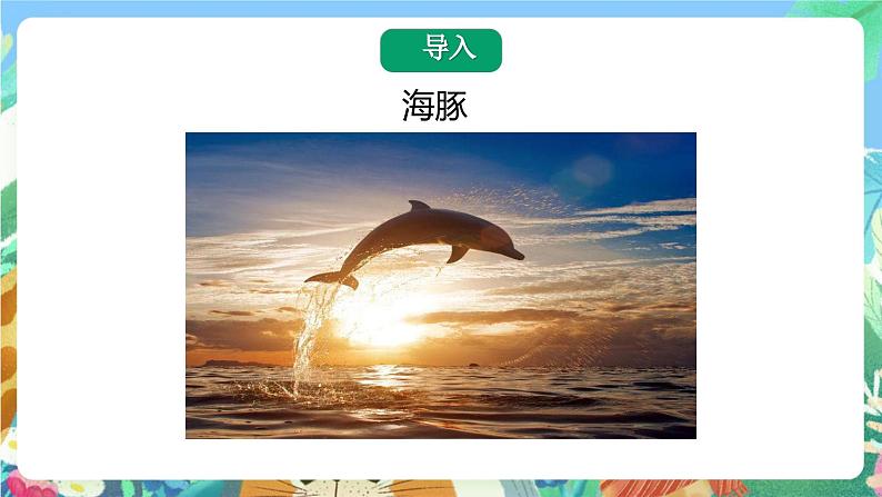 苏教版科学五年级下册2.7《海豚与声呐》课件+教案+素材02