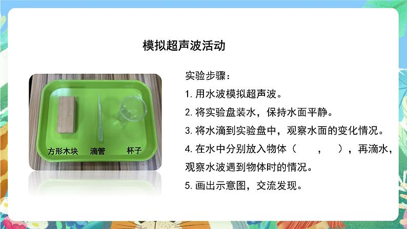 苏教版科学五年级下册2.7《海豚与声呐》课件+教案+素材07