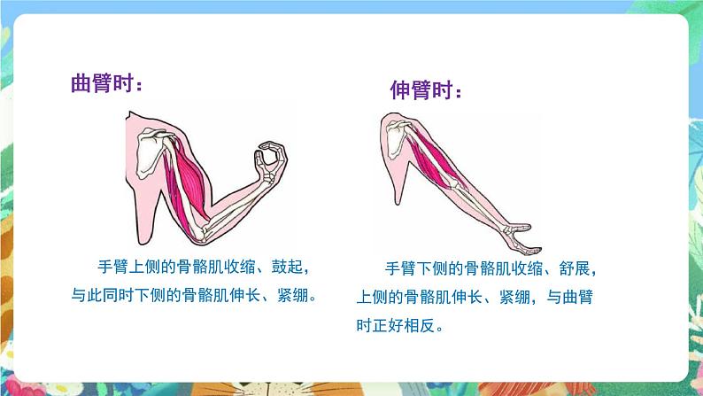 苏教版科学五年级下册2.8《我们来仿生》2课件+教案+素材06