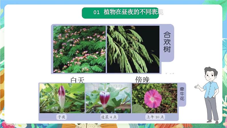 苏教版科学五年级下册3.10《昼夜对植物的影响》课件+教案+素材02