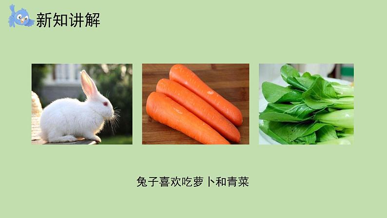 科学大象版五下4.2《动物的食物》课件第3页