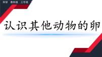 科学三年级下册2.认识其他动物的卵课文课件ppt