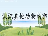 教科版科学三年级下册（2-2）认识其他动物的卵-教学PPT课件