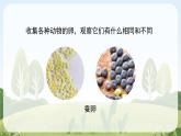 教科版科学三年级下册（2-2）认识其他动物的卵-教学PPT课件