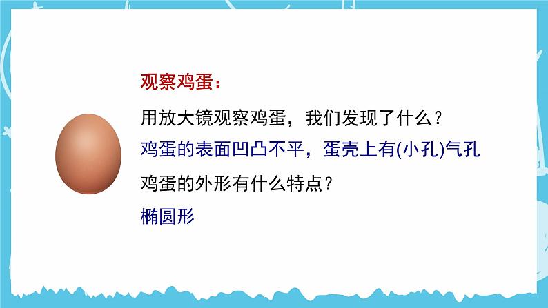 教科版科学三年级下册（2-2）认识其他动物的卵-PPT课件第7页