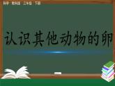 教科版科学三年级下册（2-2）认识其他动物的卵PPT课件