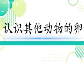 教科版科学三年级下册（2-2）认识其他动物的卵PPT教学课件