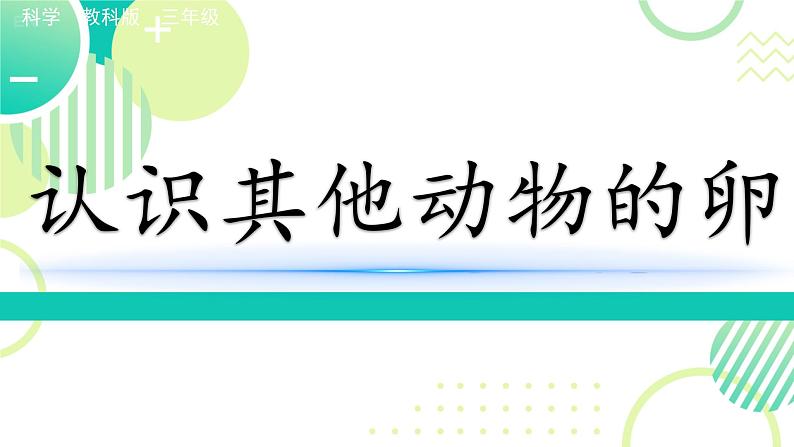 教科版科学三年级下册（2-2）认识其他动物的卵PPT教学课件第1页