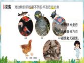 教科版科学三年级下册（2-2）认识其他动物的卵PPT教学课件