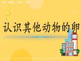 教科版科学三年级下册（2-2）认识其他动物的卵（课件ppt )