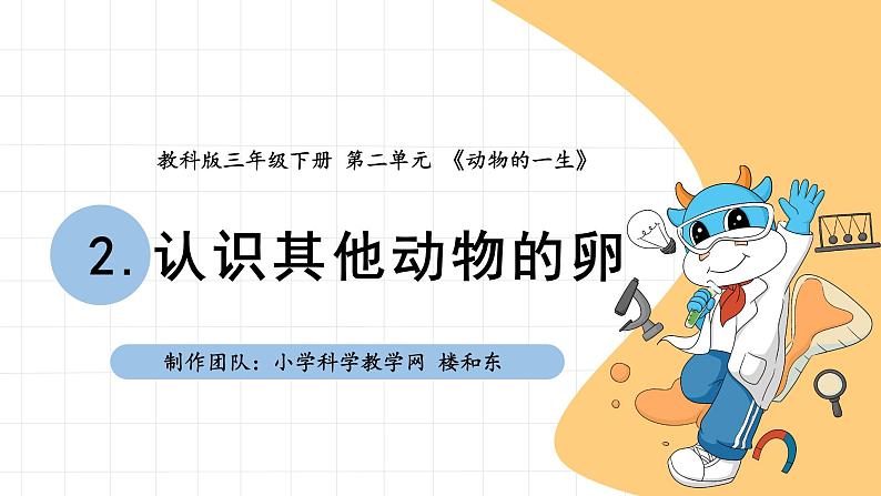 教科版科学三年级下册（2-2）认识其他动物的卵 课件11第1页