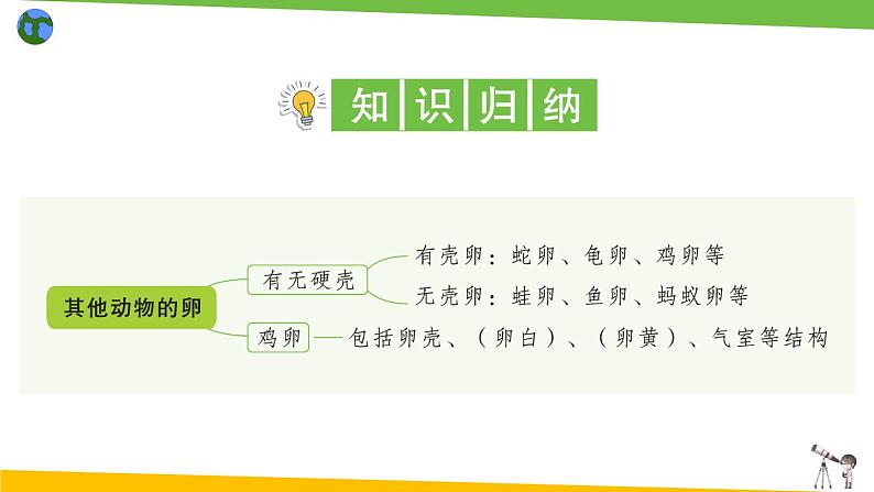 教科版科学三年级下册（2-2）认识其他动物的卵 习题1第2页