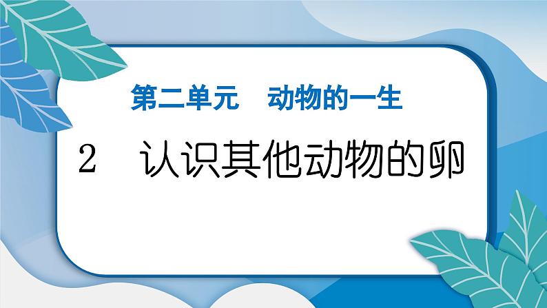 教科版科学三年级下册（2-2）认识其他动物的卵 习题2第2页