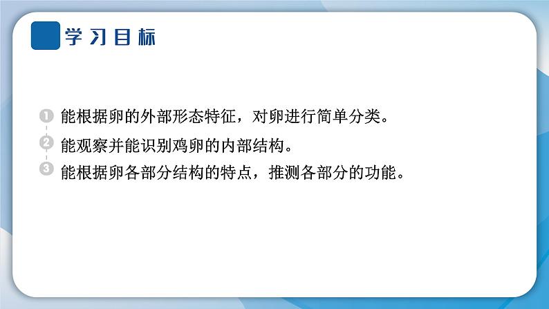 教科版科学三年级下册（2-2）认识其他动物的卵 习题2第3页