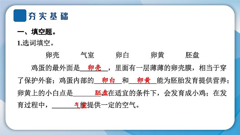 教科版科学三年级下册（2-2）认识其他动物的卵 习题2第4页