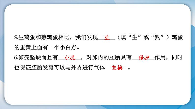 教科版科学三年级下册（2-2）认识其他动物的卵 习题2第6页