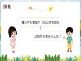 教科版科学三年级下册（2-2）认识其他动物的卵PPT教学课件