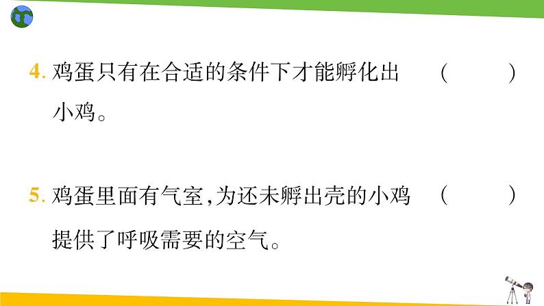 教科版科学三年级下册（2-2）认识其他动物的卵 习题1第6页