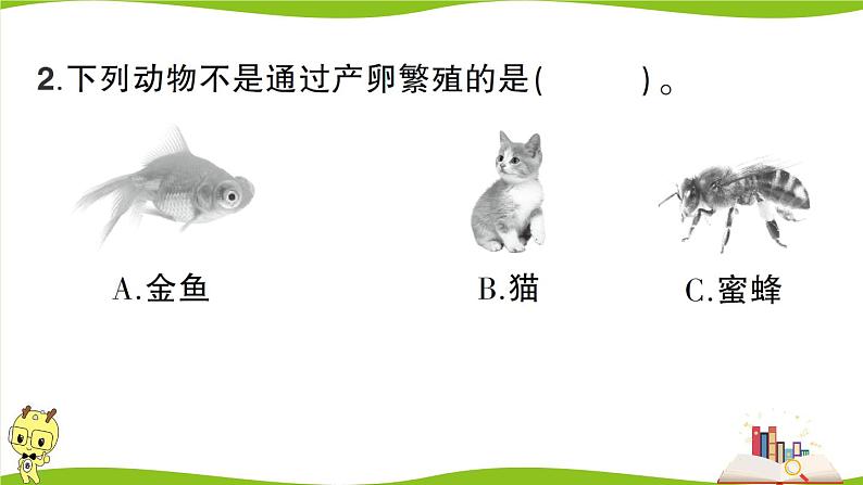 教科版科学三年级下册（2-2）认识其他动物的卵 习题5第7页