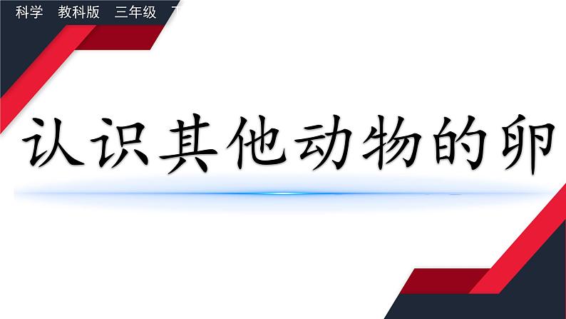 教科版科学三年级下册（2-2）认识其他动物的卵--课件PPT第1页