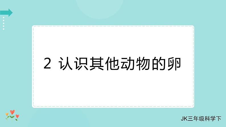 教科版科学三年级下册（2-2）认识其他动物的卵 习题3第1页