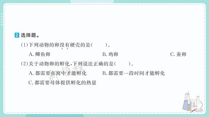 教科版科学三年级下册（2-2）认识其他动物的卵 习题3第3页