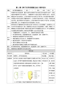 教科版 (2017)四年级下册1.种子里孕育着新生命教案