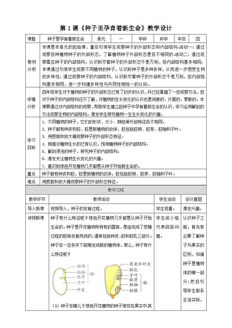 新教科版四年级下册科学1.1《种子里孕育着新生命》教案（定稿）01