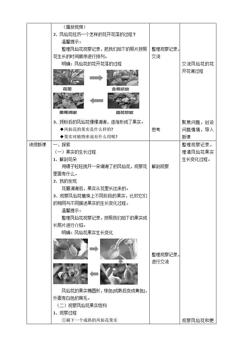 新教科版四年级下册科学1.6《果实和种子》教案（定稿）02