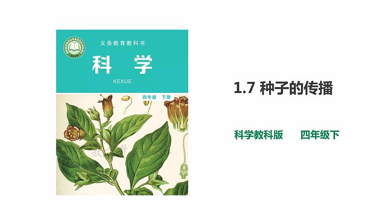 新教科版四年级下册科学1.7《种子的传播》课件（定稿）01