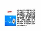 新教科版四年级下册科学1.7《种子的传播》课件（定稿）